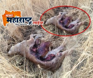 Picsart_26-03-17_19-17-21-618